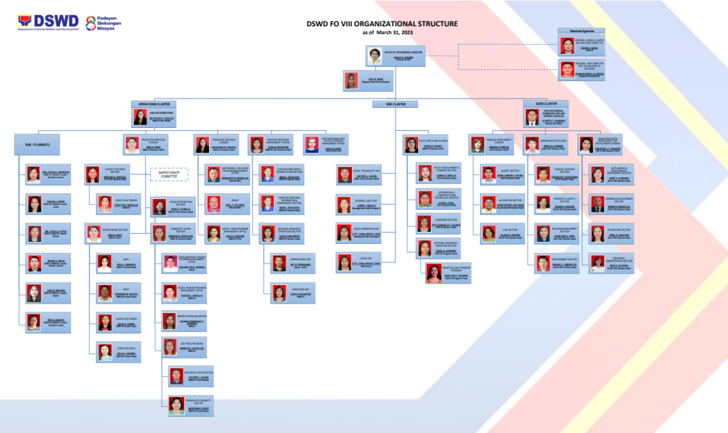 DSWD Organizational Structure